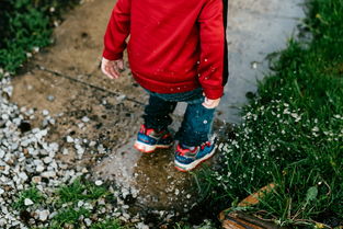 宝宝几个月会翻身会坐会爬算正常发育？